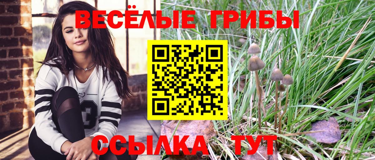 Галлюциногенные грибы Magic Shrooms  Вход с VPN  Печора 