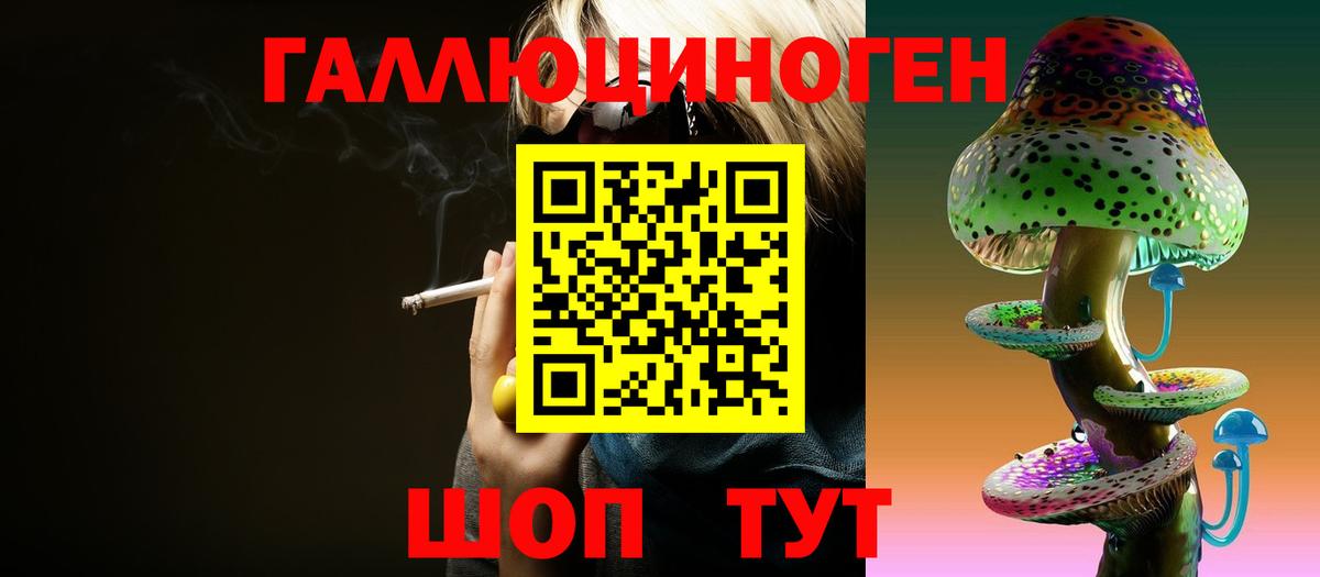 Галлюциногенные грибы Psilocybine cubensis Печора
